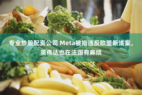 专业炒股配资公司 Meta被指违反欧盟新法案，英伟达也在法国有麻烦