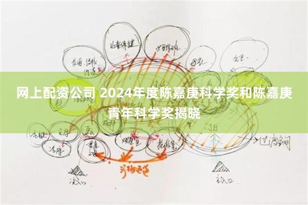 网上配资公司 2024年度陈嘉庚科学奖和陈嘉庚青年科学奖揭晓