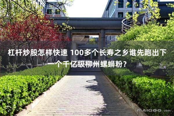 杠杆炒股怎样快速 100多个长寿之乡谁先跑出下一个千亿级柳州螺蛳粉？