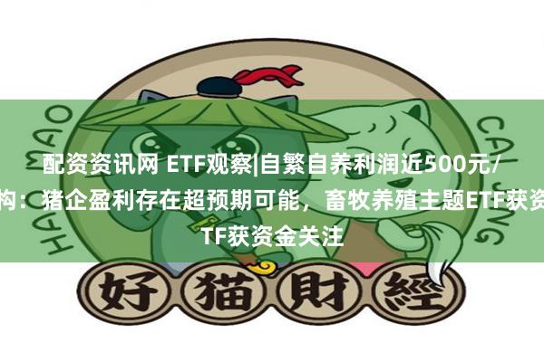 配资资讯网 ETF观察|自繁自养利润近500元/头，机构：猪企盈利存在超预期可能，畜牧养殖主题ETF获资金关注