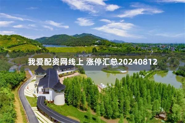 我爱配资网线上 涨停汇总20240812