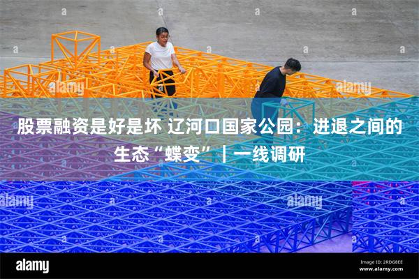 股票融资是好是坏 辽河口国家公园：进退之间的生态“蝶变”｜一线调研