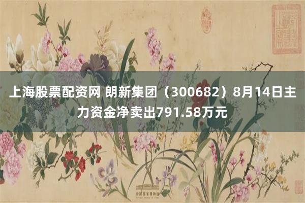 上海股票配资网 朗新集团（300682）8月14日主力资金净卖出791.58万元