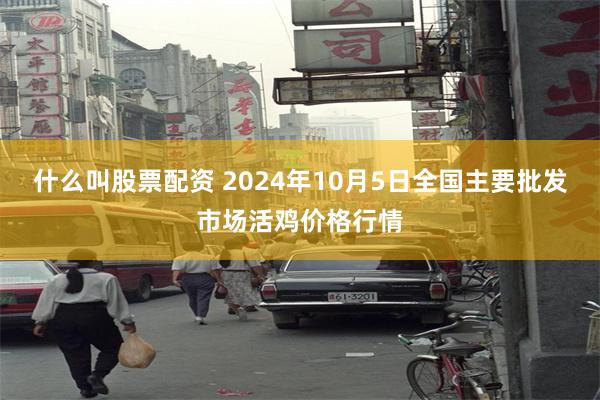 什么叫股票配资 2024年10月5日全国主要批发市场活鸡价格行情