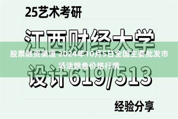 股票融资渠道 2024年10月5日全国主要批发市场活鳜鱼价格行情