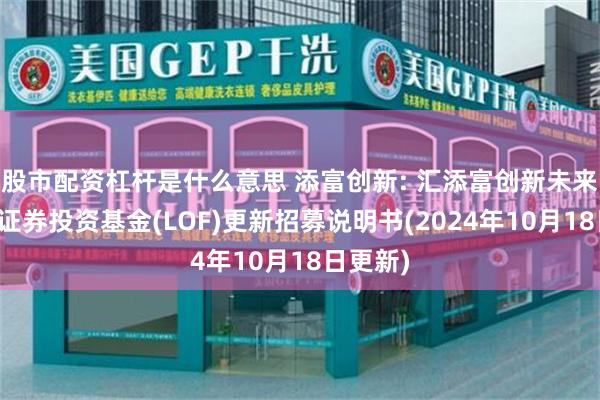 股市配资杠杆是什么意思 添富创新: 汇添富创新未来混合型证券投资基金(LOF)更新招募说明书(2024年10月18日更新)