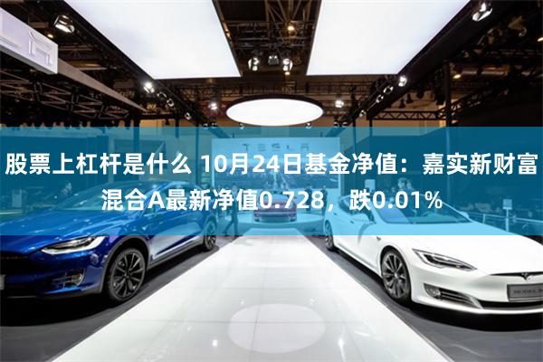 股票上杠杆是什么 10月24日基金净值：嘉实新财富混合A最新净值0.728，跌0.01%