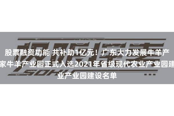 股票融资功能 共补助1亿元！广东大力发展牛羊产业，两家牛羊产业园正式入选2021年省级现代农业产业园建设名单