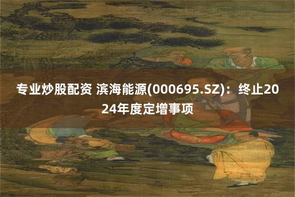 专业炒股配资 滨海能源(000695.SZ)：终止2024年度定增事项