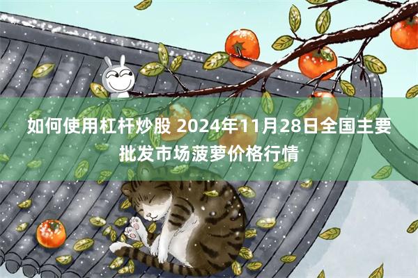 如何使用杠杆炒股 2024年11月28日全国主要批发市场菠萝价格行情