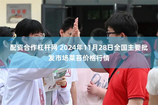 配资合作杠杆网 2024年11月28日全国主要批发市场菜苔价格行情