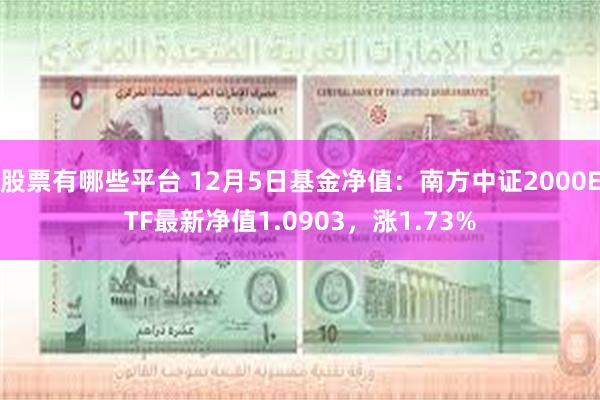 股票有哪些平台 12月5日基金净值：南方中证2000ETF最新净值1.0903，涨1.73%