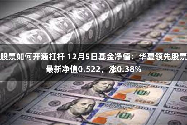 股票如何开通杠杆 12月5日基金净值：华夏领先股票最新净值0.522，涨0.38%