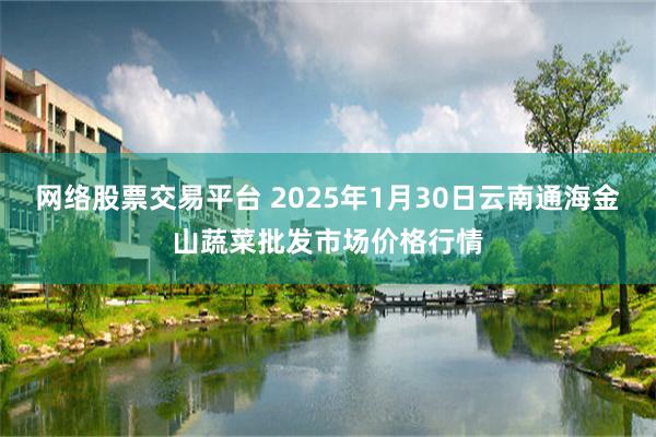 网络股票交易平台 2025年1月30日云南通海金山蔬菜批发市场价格行情