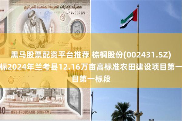 黑马股票配资平台推荐 棕榈股份(002431.SZ)：中标2024年兰考县12.16万亩高标准农田建设项目第一标段