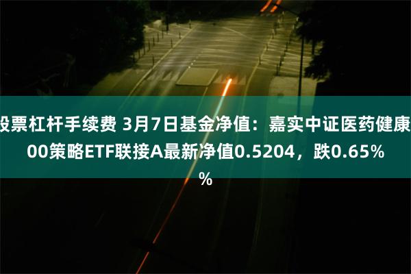 股票杠杆手续费 3月7日基金净值：嘉实中证医药健康100策略ETF联接A最新净值0.5204，跌0.65%